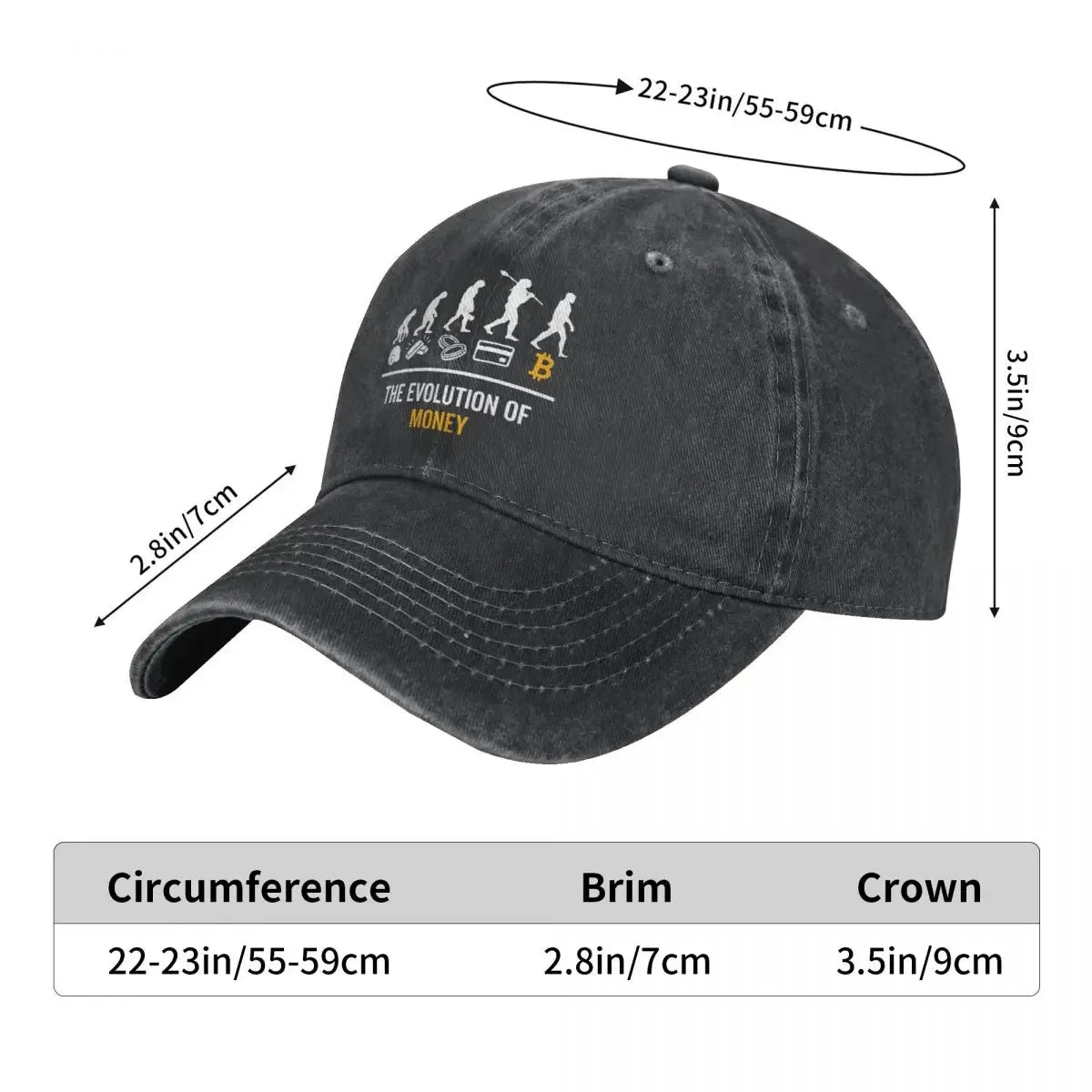 The Evolution Of Money Summer Bitcoin Blockchain hat